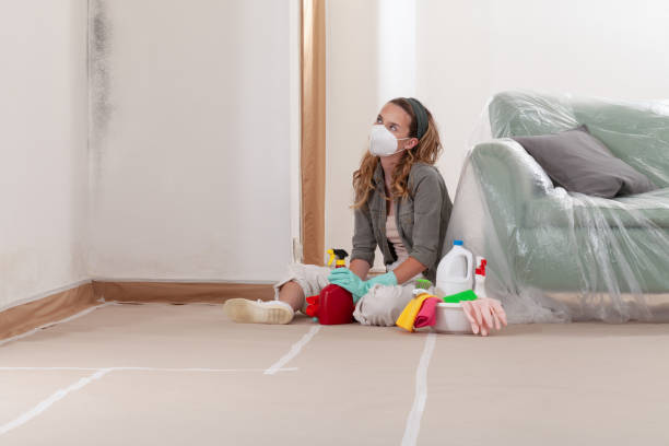 Reliable Mold Testing contractor in Gambrills, MD by WQB Mold Removal